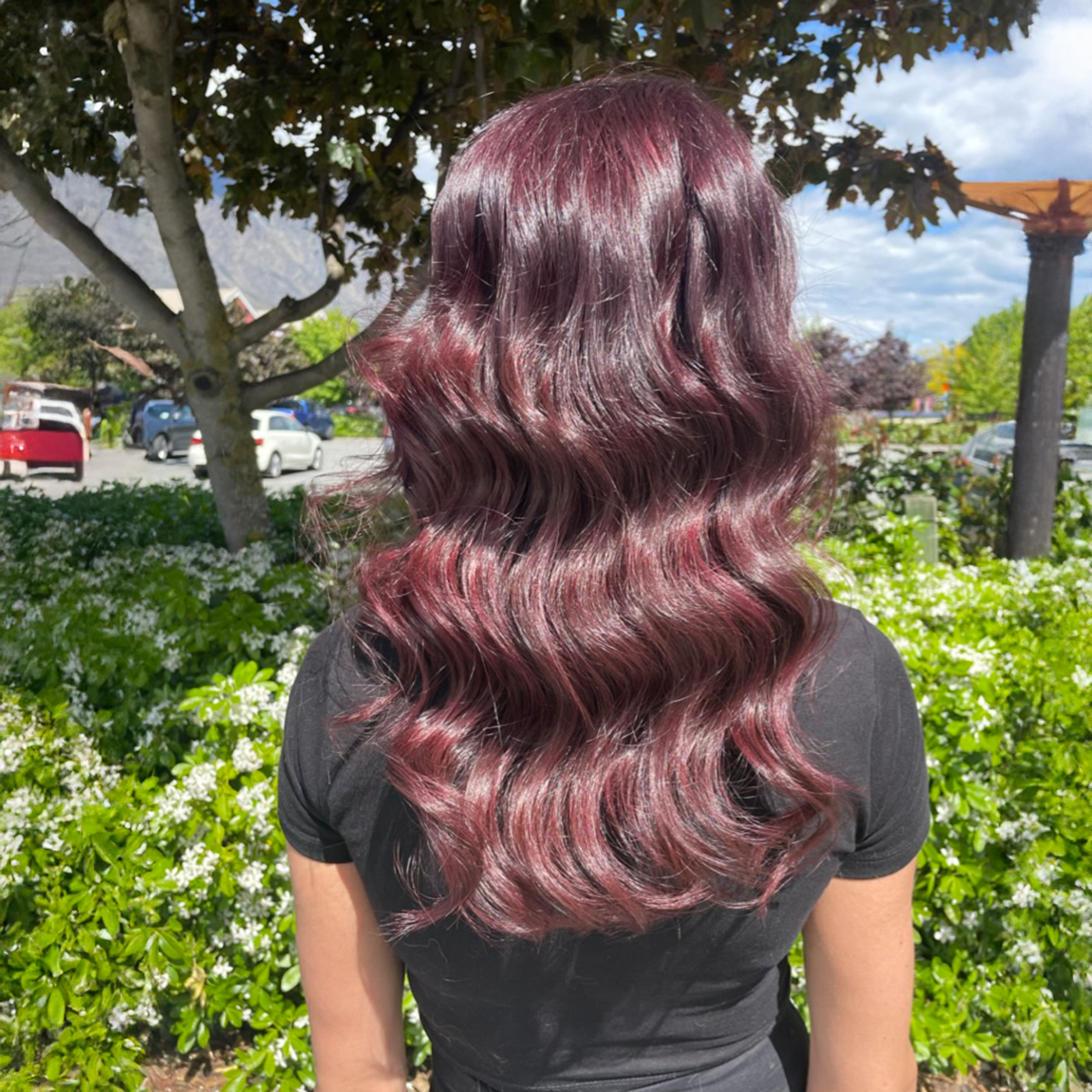 SOLO Hair Design | Professional Hair Salon in Queenstown SOLO Hair Design | Professional Hair Salon in Queenstown